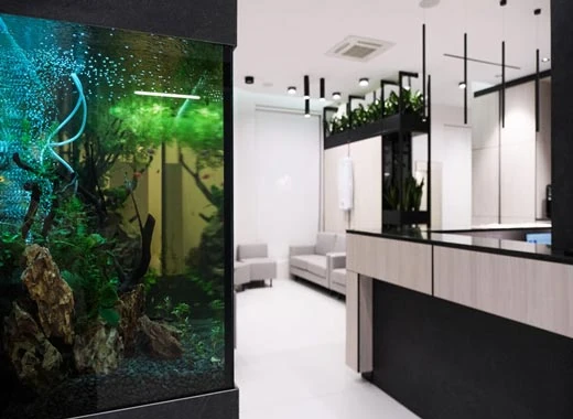 ООО "АГАМИ Стоматология"